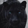 exdleo7