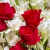 priya.moni6042