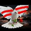 user9210068746072