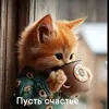 user79118306150616