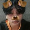 thongkitti.tepsat