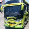 cimot36446