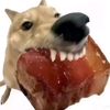 knightofren577