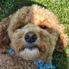 teddys_channel_not_mine