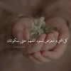 ayeshaibrahim.123