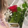 ayka_ayla2
