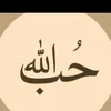 li_or60