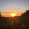 mathilde_gbrn0