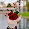 user44252655615301
