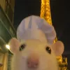 cookisncrim0