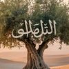 user5444838303734
