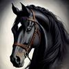 user9211126347469