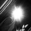 gomana.mohamed491