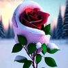 user622321903616