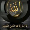 abo.ahmad490