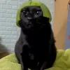 orbitalkanone_