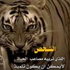 user5680575100580