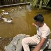 husaynali82