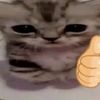 idontgivea_fuck17