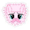 seleinnaa