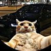 jaden_xd_434544