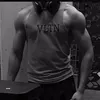 aaiaa313