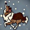 k9.dograge