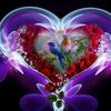 user4966671762970