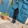 lil_papy1st