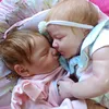 fefeereborns