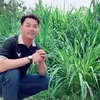 phintran1019