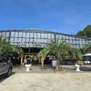 caotuanh29
