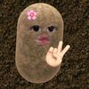 alyarhmaaa_aa