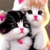 user52216852008628