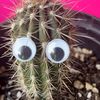 thatplantguy8