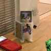 belowabnormal