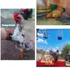 hoanghuynhfarmtv