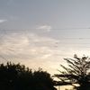 safa68058