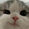 akunfreefireold1