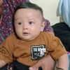 ato.arghi