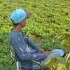 nay.min.naing86