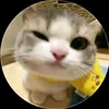 namhoangnhat5