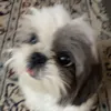 holamellamojuan101