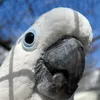 harry_7439