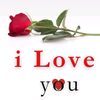 user8781483736542