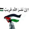 .alshzapy