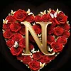 nicolettavigliotti14
