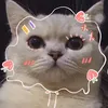 mon_chan.iu.v