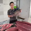 haisanthaogiang1