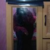 lianaputrri1